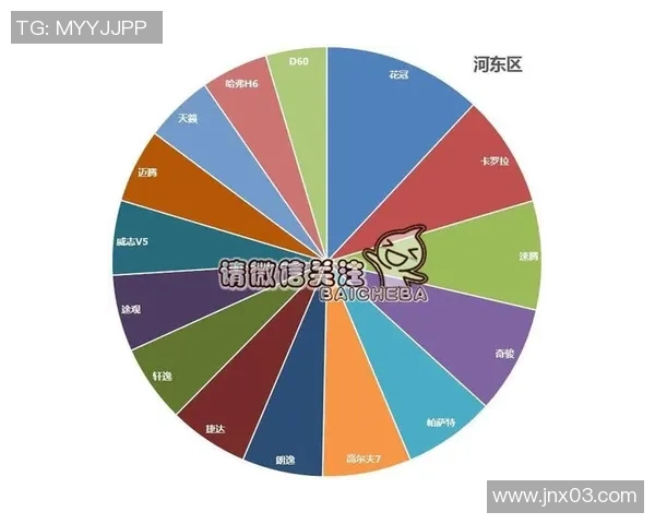 独家分析：南京排球队的团队协作对比