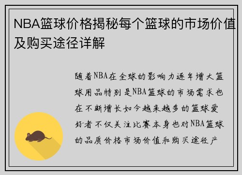 NBA篮球价格揭秘每个篮球的市场价值及购买途径详解