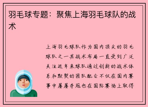 羽毛球专题：聚焦上海羽毛球队的战术