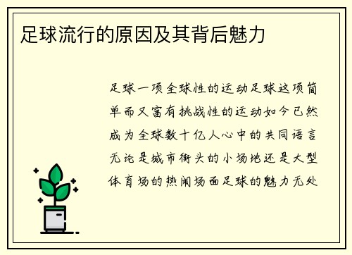足球流行的原因及其背后魅力