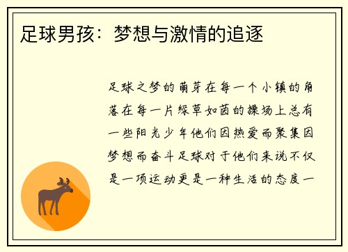 足球男孩：梦想与激情的追逐