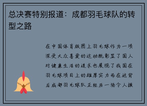 总决赛特别报道：成都羽毛球队的转型之路