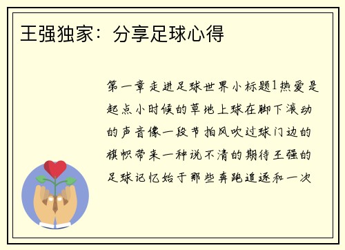 王强独家：分享足球心得