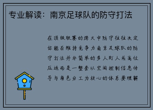 专业解读：南京足球队的防守打法